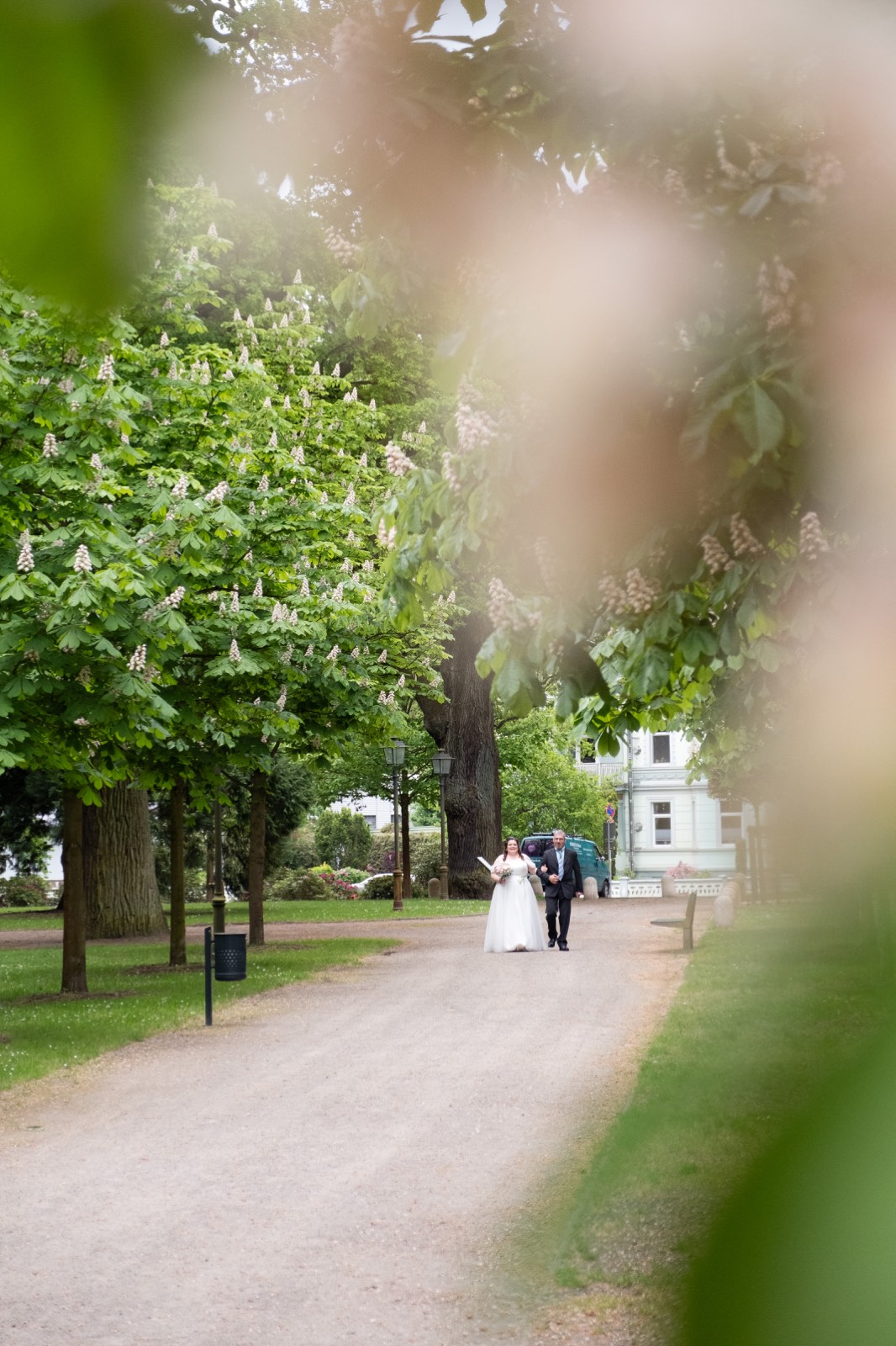 Brautpaar geht einen Weg unter blühenden Kastanien entlang, aus der Distanz durch Blätter fotografiert, Hochzeit in Grabow