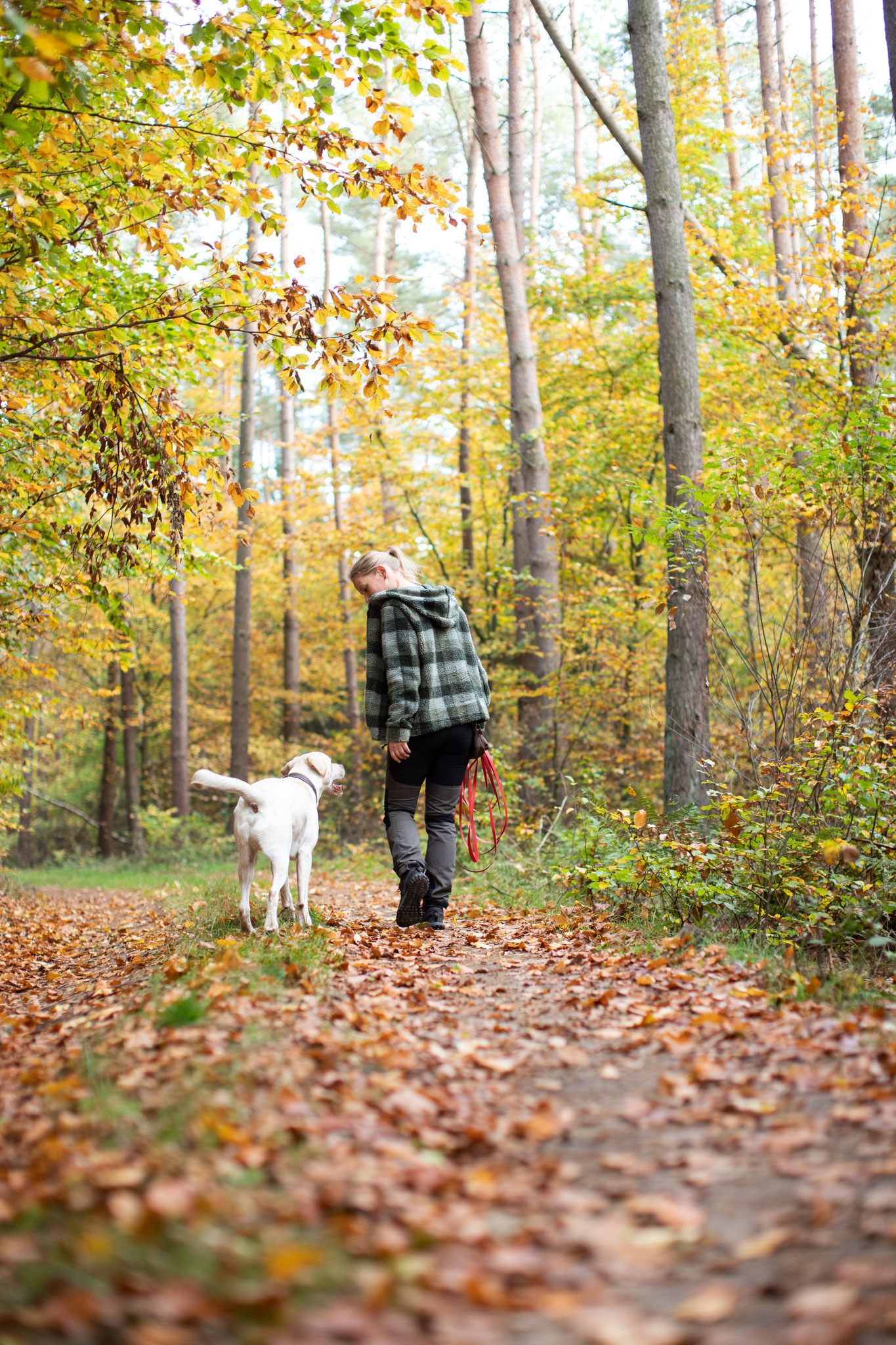Tiere — aus dem Portfolio