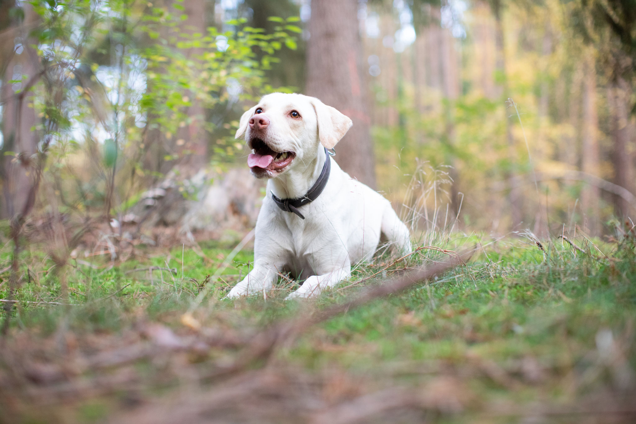 Tiere — Bild 05 · Lea Luminus Fotodesign