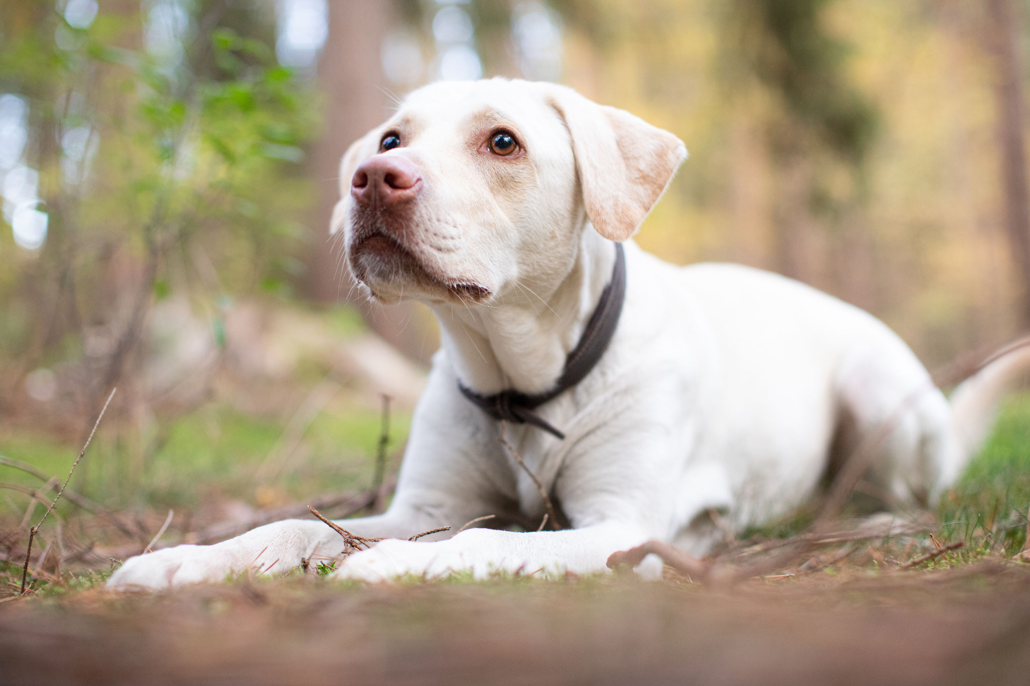Tiere — Bild 07 · Lea Luminus Fotodesign