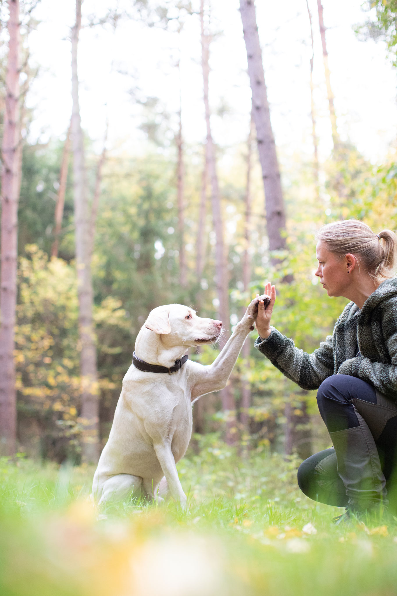 Tiere — Bild 10 · Lea Luminus Fotodesign