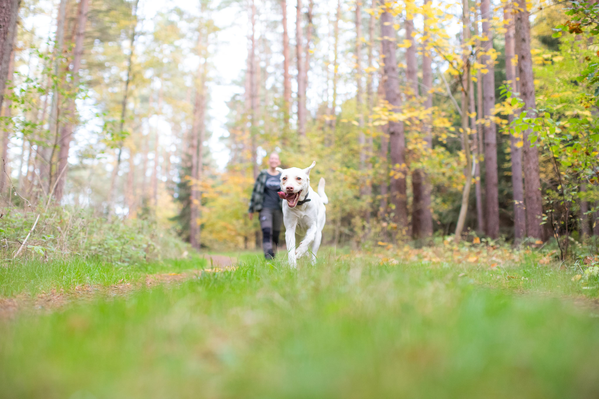 Tiere — Bild 11 · Lea Luminus Fotodesign
