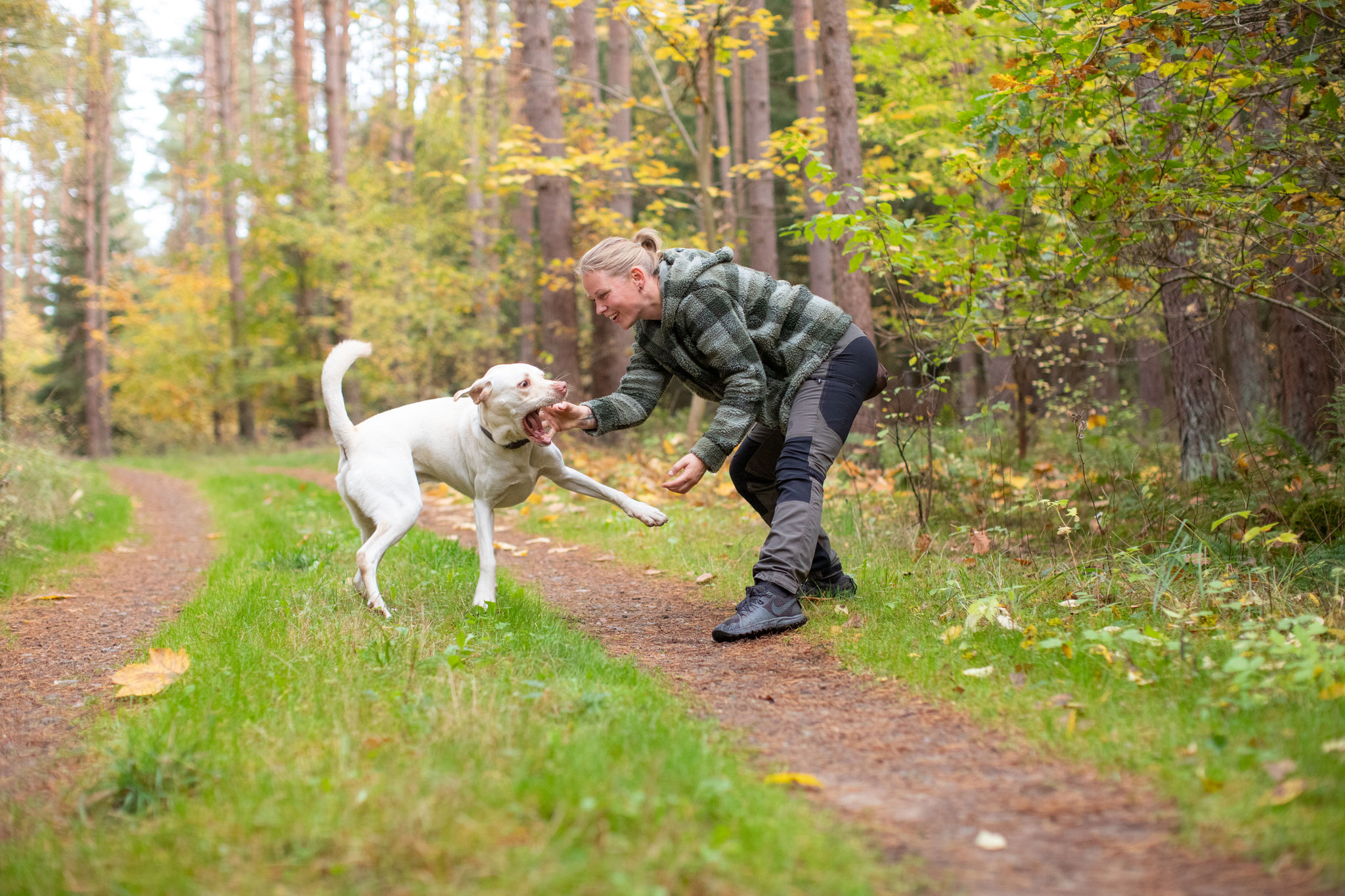 Tiere — Bild 13 · Lea Luminus Fotodesign